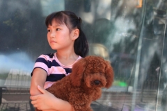 Une fillette serrant un caniche dans une rue de Pekin