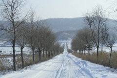 Snowy road in North of China