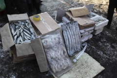 fish sold on the ground in Jixi